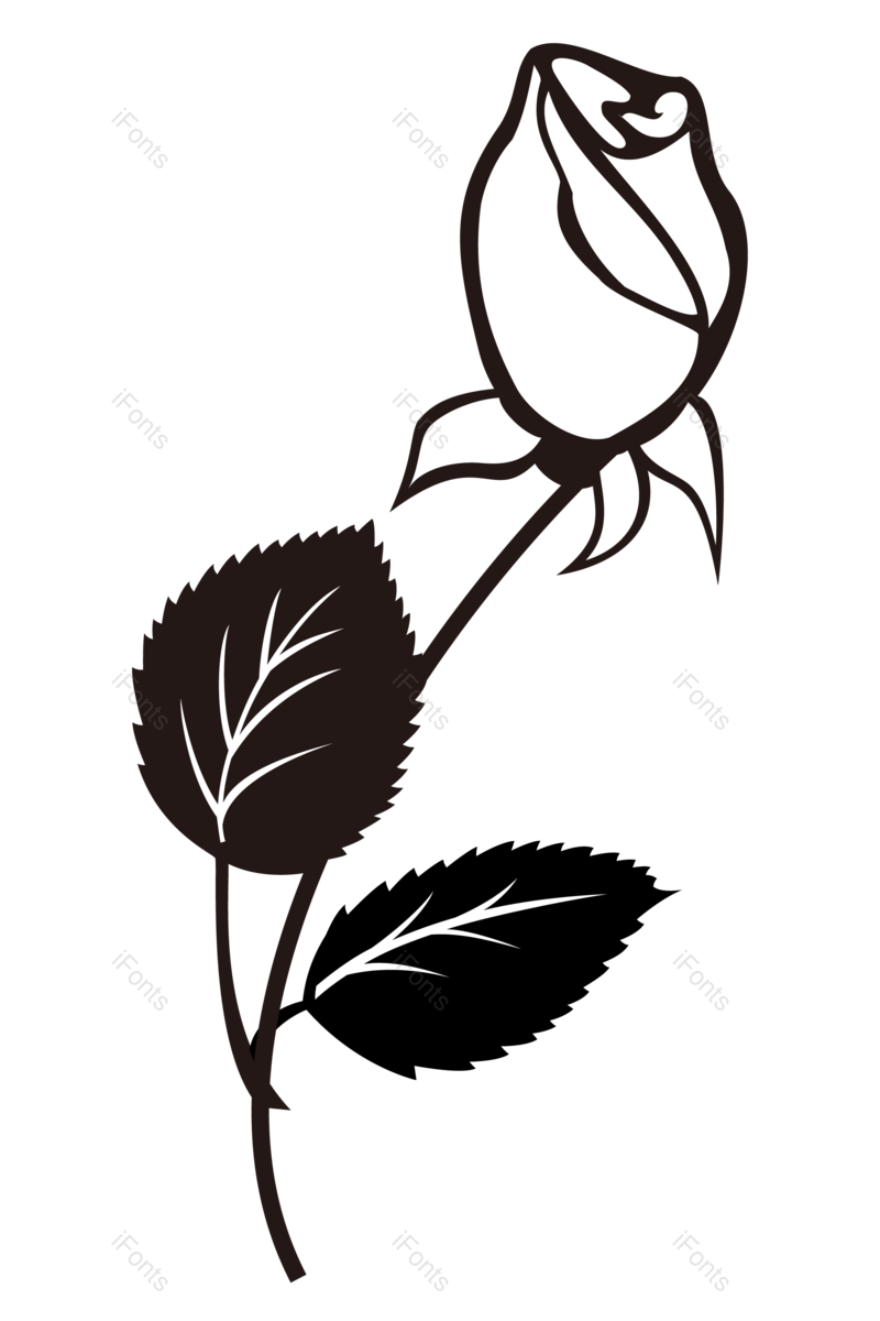 花纹图片,图案元素,复古花纹PNG,玫瑰花免抠素材